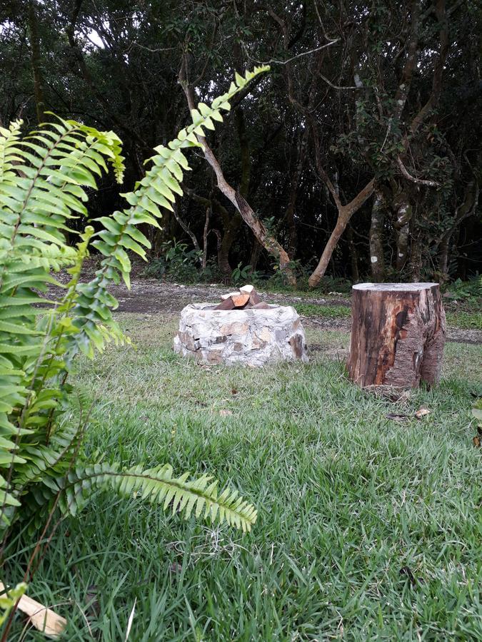 Casa Mirango Boquete Βίλα Jaramillo Εξωτερικό φωτογραφία